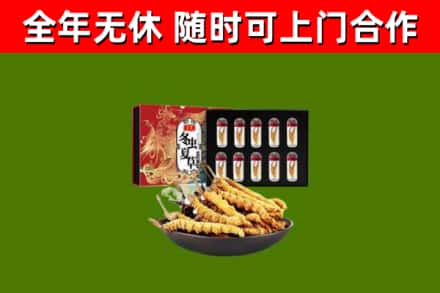海州回收冬虫夏草价格